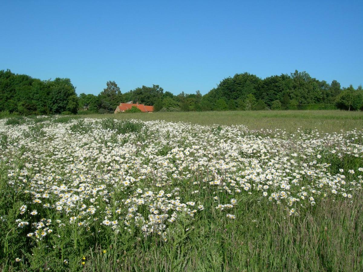 Heath Farm Holiday Cottages Swerford エクステリア 写真